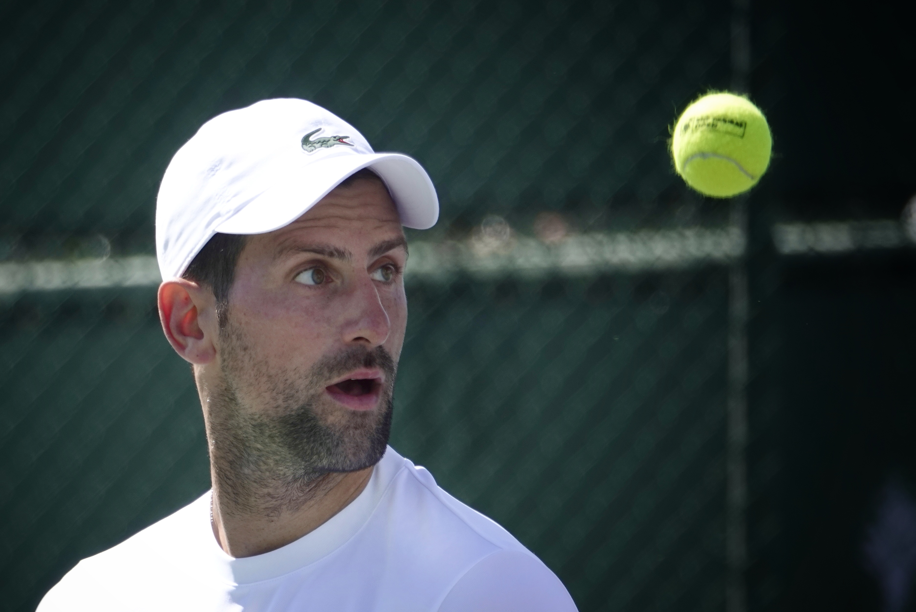 Joueur professionnel à l'entraînement à Indian Wells